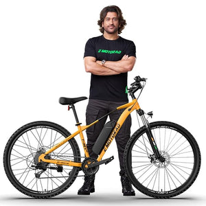 🚴 EMotorad T-REX AIR 29” Electric Cycle | 250W BLDC Motor, Shimano 7-Speed, Dual Disc Brakes