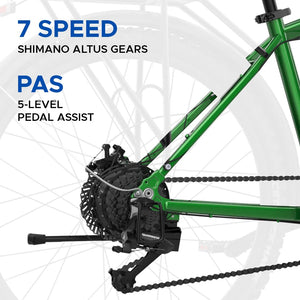 EMotorad T-Rex Pro Electric Cycle | 70 km Range E-Bike with Step-Through Frame & LCD Display