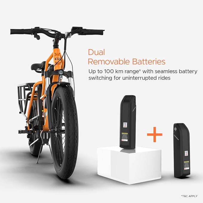EMotorad Xcape G1 Electric Cargo Bike – Dual Battery, 100KM Range, 250W Motor