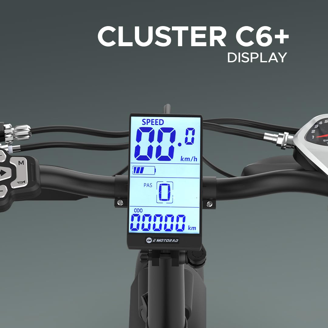 EMotorad Doodle Pro Foldable Fat Tire Electric Bike – 250W Motor, 75KM Range, Dual Disc Brakes