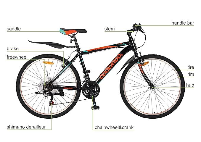 Cockatoo CBC-01 Elite 26T Cycle – Affordable Single-Speed Bike for Teens & Adults