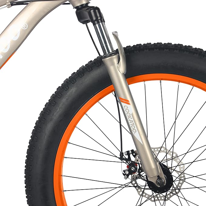 Cockatoo Premium CFT 26T Electric Cycle | Long-Range Eco-Friendly E-Bike for Adults
