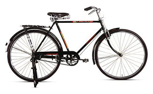 Hercules 29T Electric Cycle | 22” Steel Frame E Bike with 250W Motor & 36V Battery