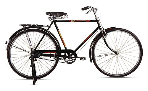 Hercules 29T Electric Cycle | 22” Steel Frame E Bike with 250W Motor & 36V Battery