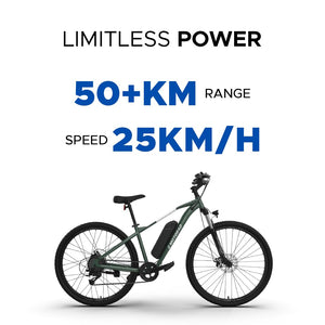 🚴 EMotorad T-REX AIR 29” Electric Cycle | 250W BLDC Motor, Shimano 7-Speed, Dual Disc Brakes