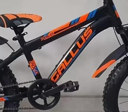 Gallus Kids Fat Tire Mountain Bike 20-Inch – Black & Orange Cycle with Disc Brakes | Best Off-Road Bicycle for Boys & Girls