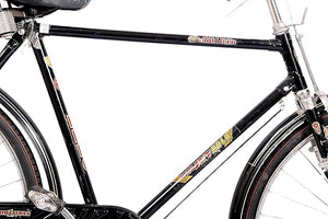 Hero Jet Gold 28T Electric Cycle – Affordable Long-Range E-Bike for City Commute