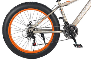 Cockatoo Premium CFT 26T Electric Cycle | Long-Range Eco-Friendly E-Bike for Adults