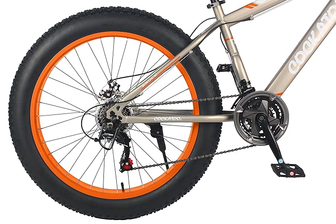 Cockatoo Premium CFT 26T Electric Cycle | Long-Range Eco-Friendly E-Bike for Adults