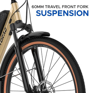 EMotorad ST-X City Electric Cycle | Step-Through E-Bike with Removable Battery & LCD Display