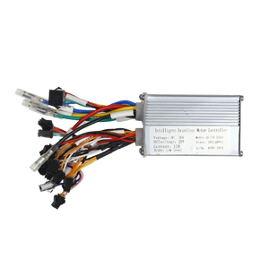 Electric Cycle Conversion Kit with Battery – BLDC Motor, PAS, Throttle, Light & Horn