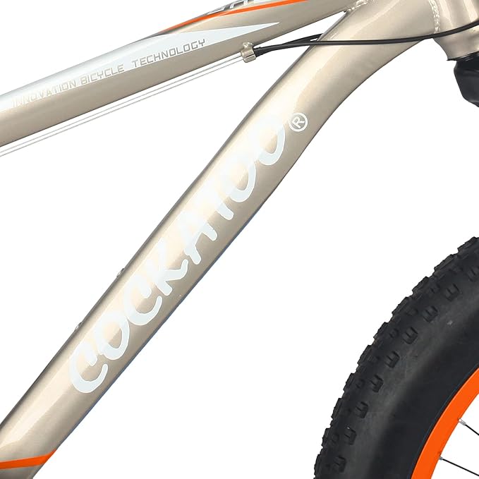 Cockatoo Premium CFT 26T Electric Cycle | Long-Range Eco-Friendly E-Bike for Adults