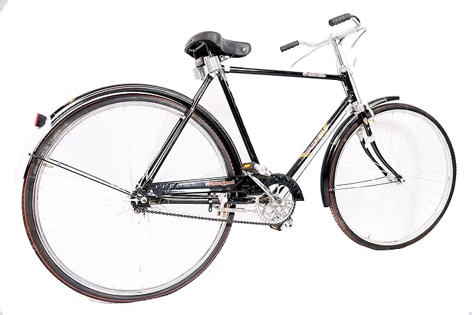 Hero Jet Gold 28T Electric Cycle – Affordable Long-Range E-Bike for City Commute