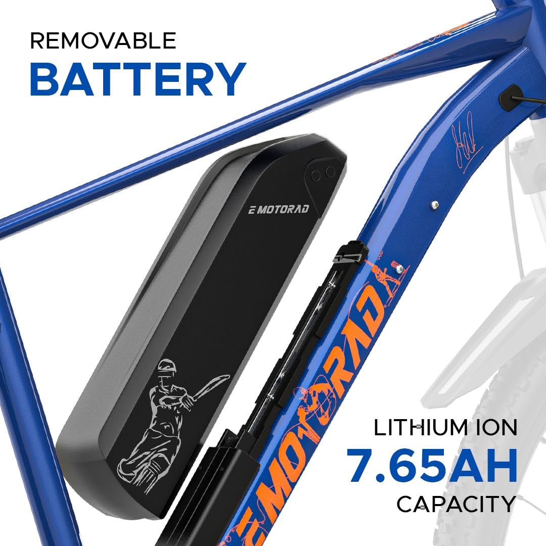 EMotorad Legend 07 MSD Electric Cycle | 250W Motor, 40km Range & Removable Battery