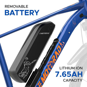 EMotorad Legend 07 MSD Electric Cycle | 250W Motor, 40km Range & Removable Battery