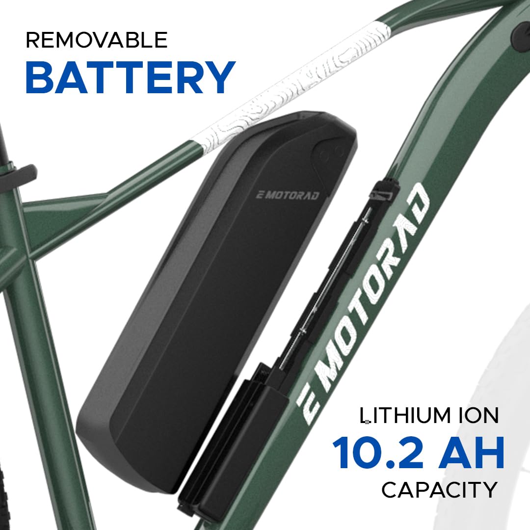🚴 EMotorad T-REX AIR 29” Electric Cycle | 250W BLDC Motor, Shimano 7-Speed, Dual Disc Brakes