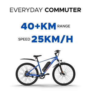 EMotorad Legend 07 MSD Electric Cycle | 250W Motor, 40km Range & Removable Battery